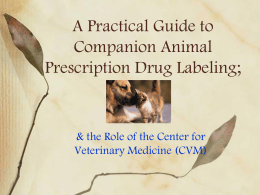A Practical Guide to Companion Animal Prescription Drug