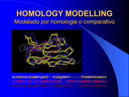 HOMOLOGY MODELLING Modelado por homologia o …