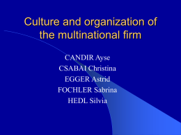 Culture and organisation of the multinational firm