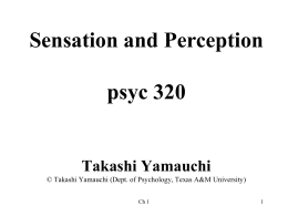 Sensation and Perception Psyc 320 2:20