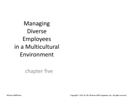 Managing Diverse Employees in a Multicultural Environment