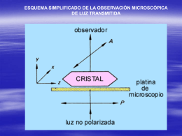 Diapositiva 1 - Universidad de La Laguna