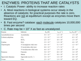 ENZYMES: PROTEINS THAT ARE CATALYSTS