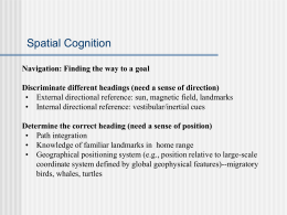 Spatial Cognition - Michigan State University
