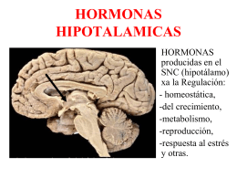 HORMONAS HIPOTALAMICAS
