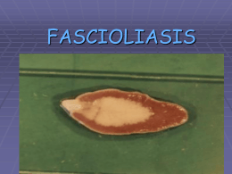 FASCIOLASIS - biblioceop