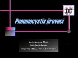 Pneumocystis jiroveci