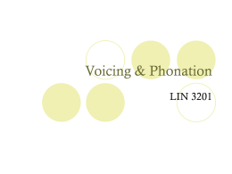 Voicing & Phonation - University of Florida