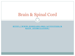 Brain & Spinal Cord - Robbinsville Schools / Overview