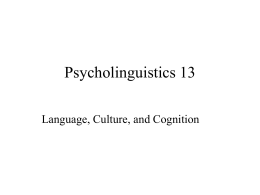 Psycholinguistics 13