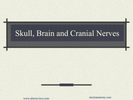 Skull, Brain and Cranial Nerves - Home Page