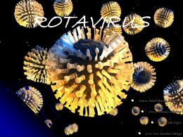 Rotavirus - eTableros
