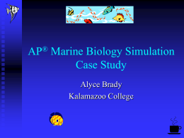 Marine Biology Simulation Case Study