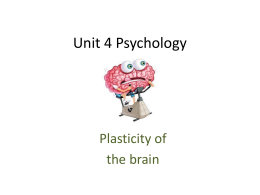 Unit 4 Psychology