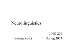 Neurolinguistics - University of Washington