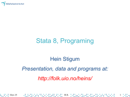 Stata 8, Programing