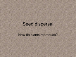 Seed dispersal - Primary Resources