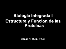 Molecular Cell Biology 6/e