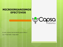 Diapositiva 1 - CAPSA CONSULTORES Y AUDITORIAS