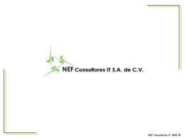 NEF Consultores IT