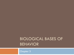 Biological bases of behavior - Doral Academy Preparatory