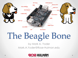 The Beagle Bone