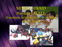 Proyecto Excell USAID