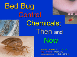 Bed Bugs, A Growing Problem