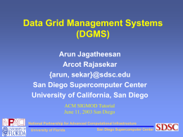 Data Grid Management Systems (DGMS)