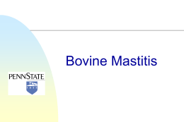 Bovine Mastitis - International Food Safety Consultancy