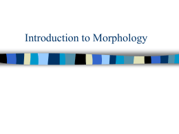 Introduction to Morphology - TAL / Universite Paris3