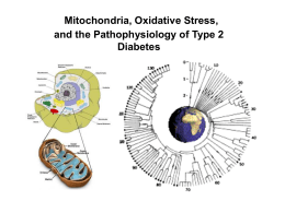 Mitochondria, Oxidative Stress, and the Pathophysiology …