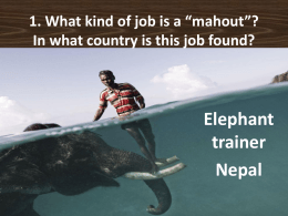 1. What kind of job is a “mahout”? In what country is this