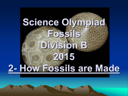 Science Olympiad Fossils Division B