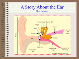 A Story About the Ear