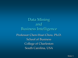 Professor Chen-Huei Chou, Ph.D.