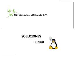 Soluciones Linux - Bienvenido a NEFCIT Consultores IT