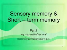 Short – term memory & Working memory