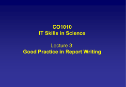 Information Technology Report Writing