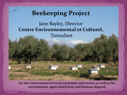 Beekeeping Project