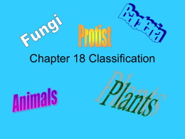Chapter 20 Classification