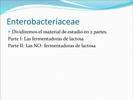 Aspectos sobresalientes de la Fam. Enterobacteriaceae