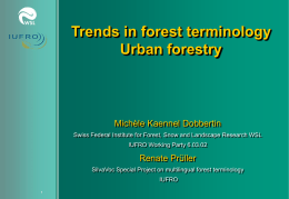 Trends in forest terminology