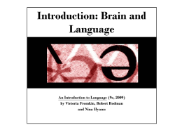 Introduction: Brain and Language