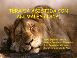 PSICOTERAPIA ASISTIDA CON ANIMALES