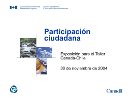 Presentation 2 Public Participation - Español