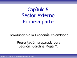 Tema 5 - Sector externo Parte I CMM