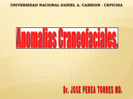 Anomalías Craneofaciales (Clase 13 de Octubre 2012)