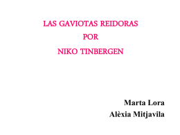 LAS GAVIOTAS REIDORAS POR NIKO TINBERGEN