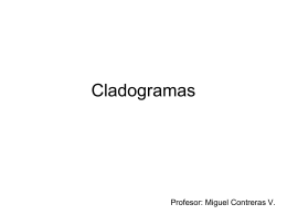 Cladogramas